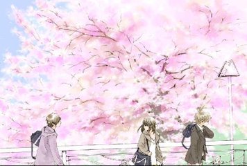 糖心饼干姐姐纪念日